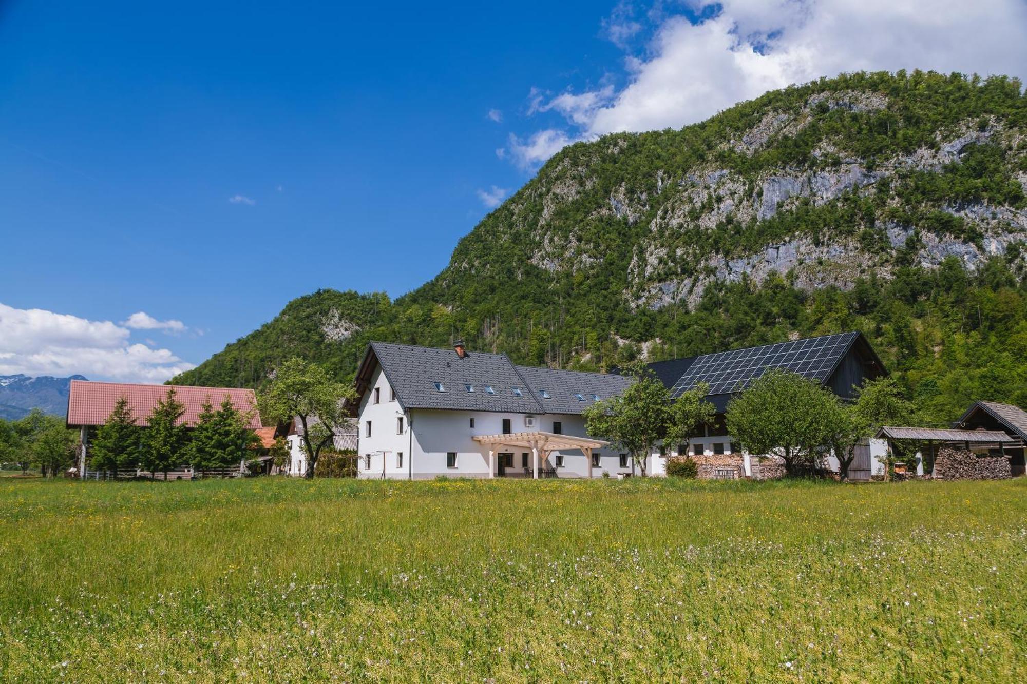 Вілла Domacija Log V Bohinju Бохінська Бістріца Екстер'єр фото