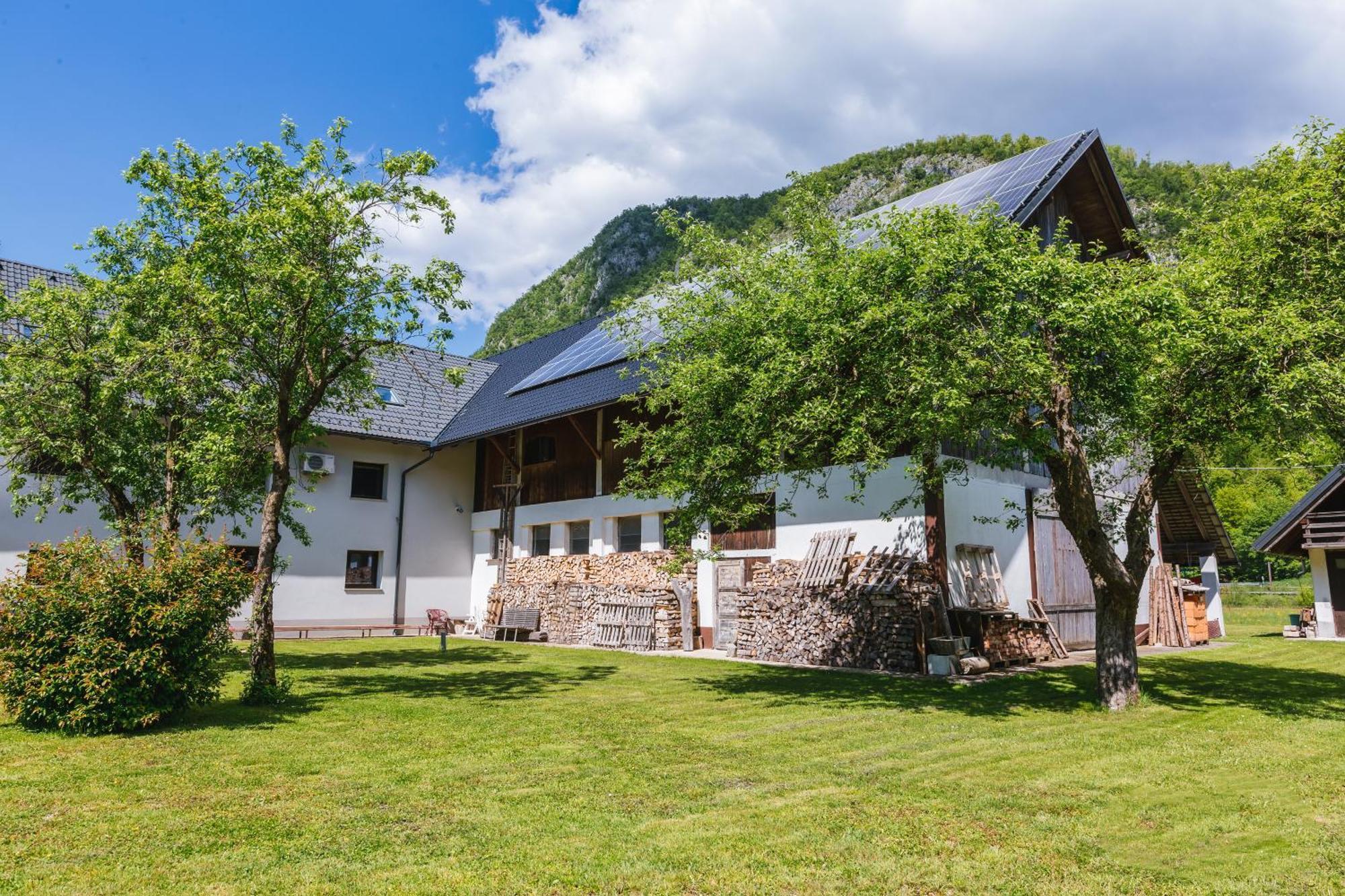 Вілла Domacija Log V Bohinju Бохінська Бістріца Екстер'єр фото