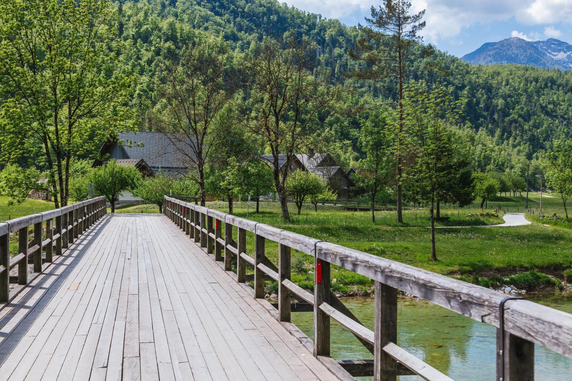 Вілла Domacija Log V Bohinju Бохінська Бістріца Екстер'єр фото